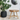 Natural Solid Accacia Wooden Stool Display Stand